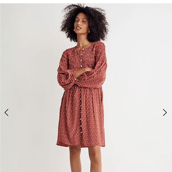 Madewell BRAND NEW Button-Front Mini Dress - Picture 3 of 9